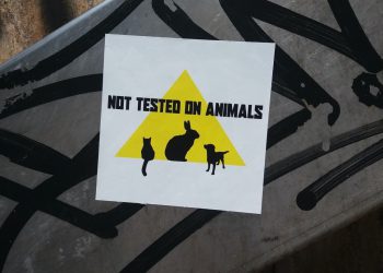 Gen Z’s Animal Cruelty Awakening