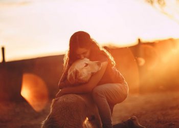 The Mental Impacts Of Covid On Year 12s