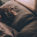 Top Tips To Actually Get Your Teen To Sleep (And Feel Fresh The Next Day)