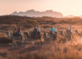 Uluru Camel Tours