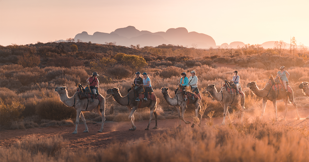 Uluru Camel Tours