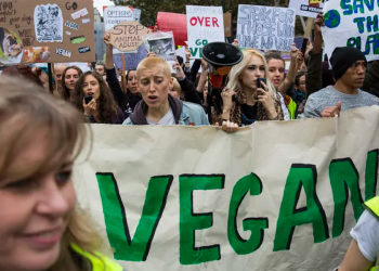 Why Gen Zs Think Vegan Is Cringe