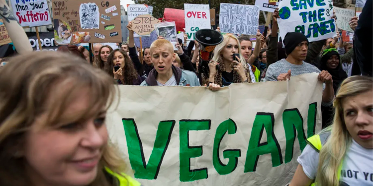 Why Gen Zs Think Vegan Is Cringe