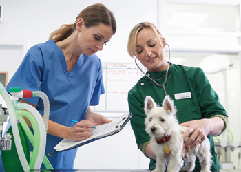 How To Help Your Child Choose A TAFE Course